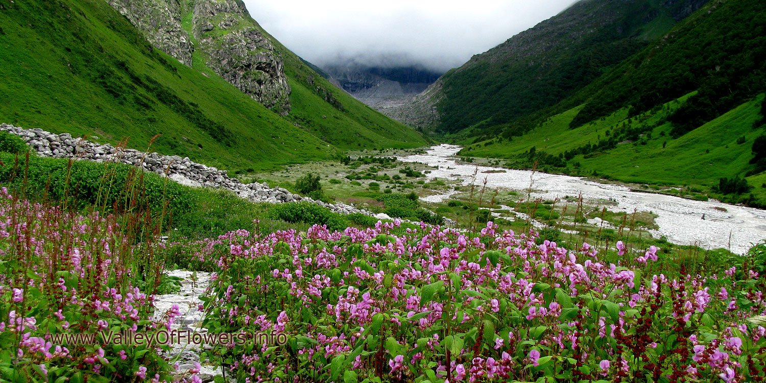 Valley-of-flowers-piture-gallery-and-wallpaper-3 – Plus Valley Adventure