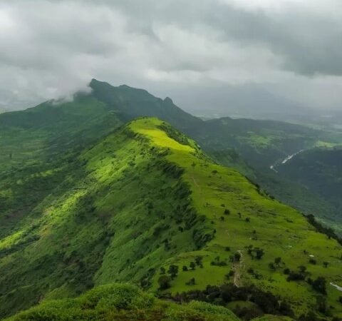 Garbett Fort Trek